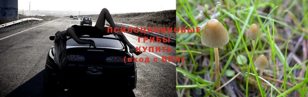 спайс Киренск