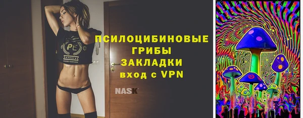 дмт Кинешма
