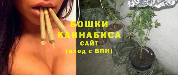 дмт Кинешма