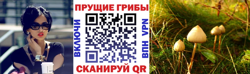 Галлюциногенные грибы прущие грибы  купить  сайты  Красноармейск 