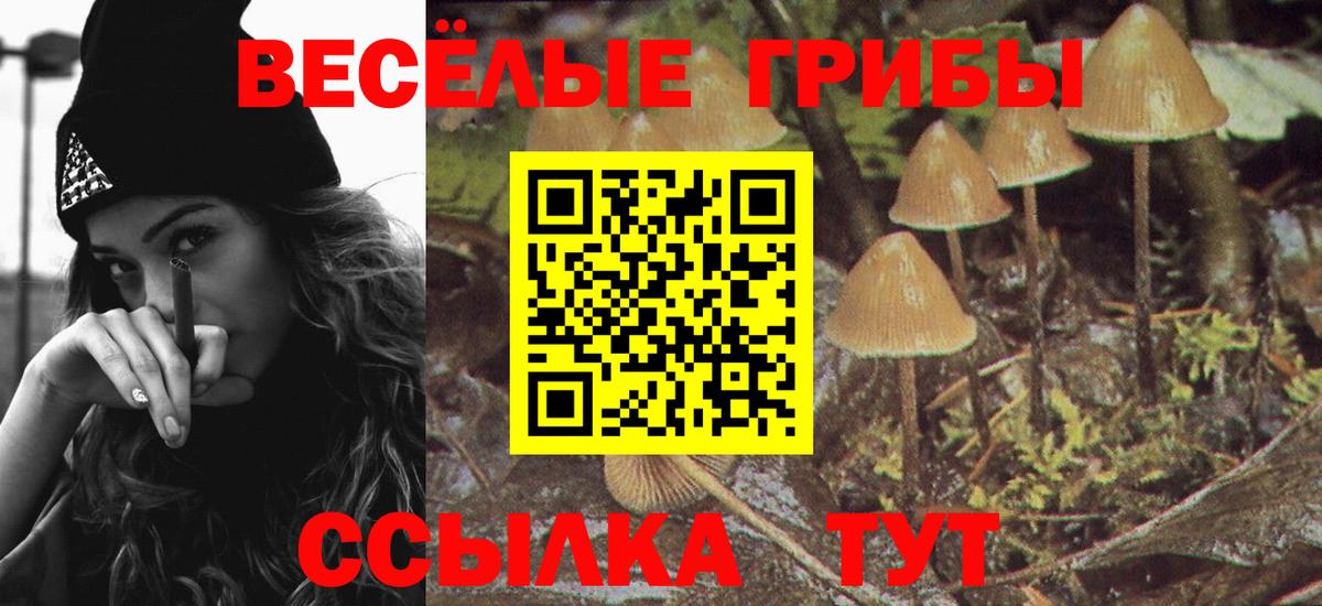 Псилоцибиновые грибы мухоморы  Красноармейск 