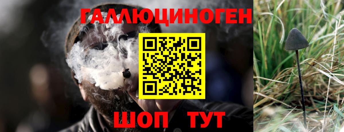 Красноармейск  Галлюциногенные грибы MAGIC MUSHROOMS  Вход с VPN 